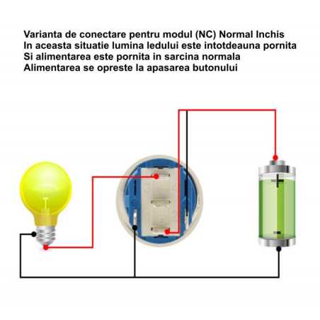 Push Buton 5-24V 19mm (+) Led Albastru
