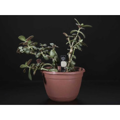 Senzor umiditate sol cu alarma pentru plante
