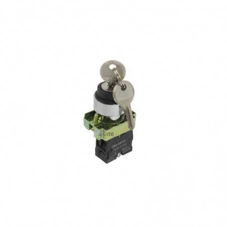 Buton Motor cu Cheie ON/OFF/ON, BG33