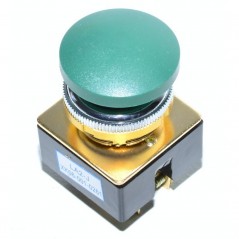 Buton motor Push fara retinere verde LA2-J