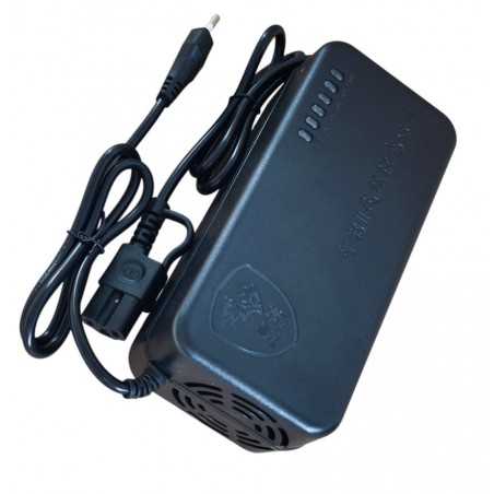Încărcător Scuter Tricicletă Electrică Plumb-Acid 48V 38Ah