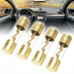5buc/set Siguranta Statie Audio Auto Gold 80A